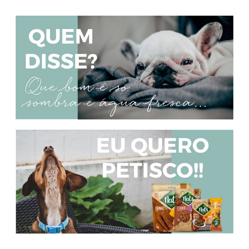 POST-5---eu-quero-petisco