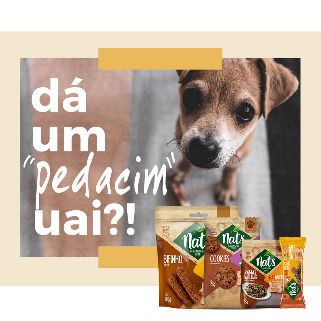 POST-7---da-um-pedacim-uai